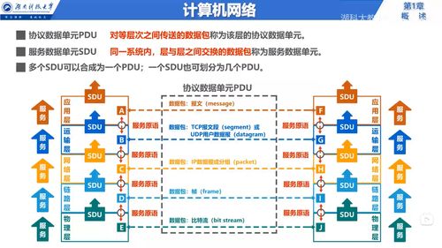 计算机网络技术的演进 从湖南科技大学课堂到B站知识共享
——基于湖大教书匠系列课程的思考